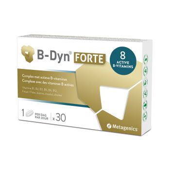 Bdyn Forte (B-Dyn Forte)